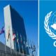 Conoce el origen del Día de las Naciones Unidas