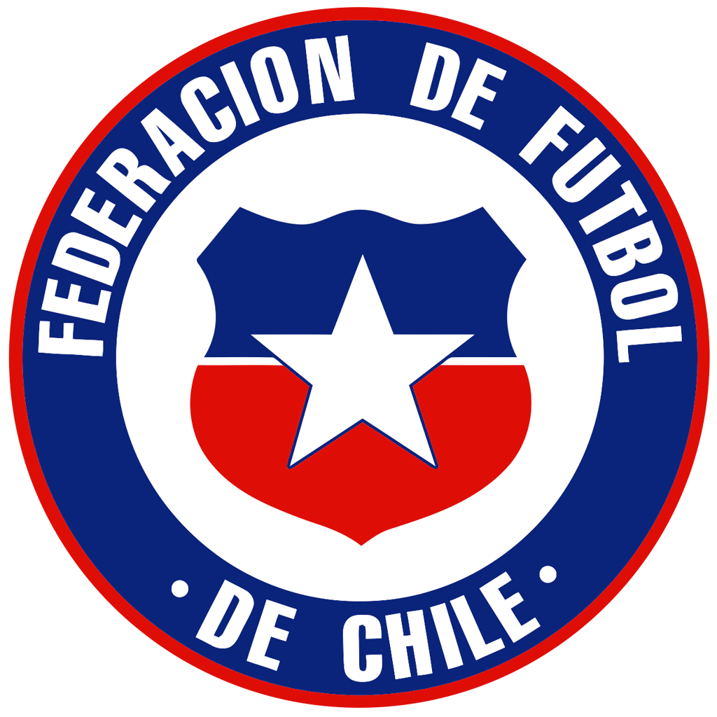 La derrota dejó en el piso al equipo chileno.