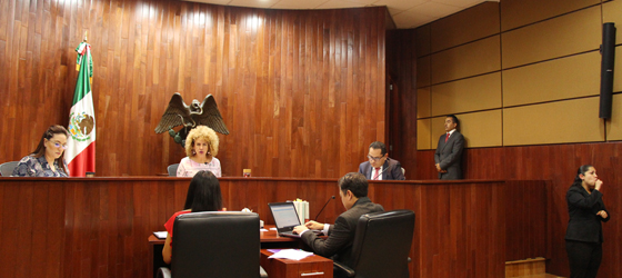 Tribunal multa al PRI por Nestora Salgado