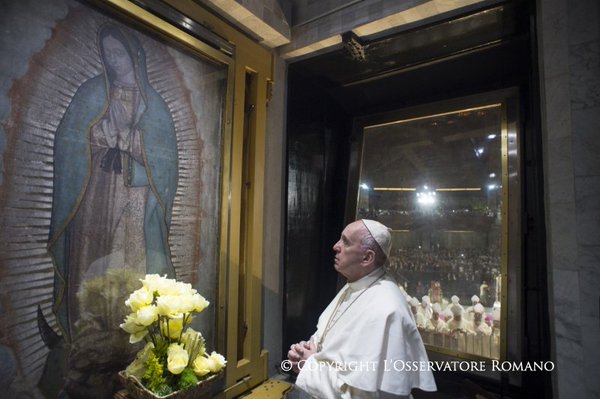 Papa Francisco pederastas pedofilia