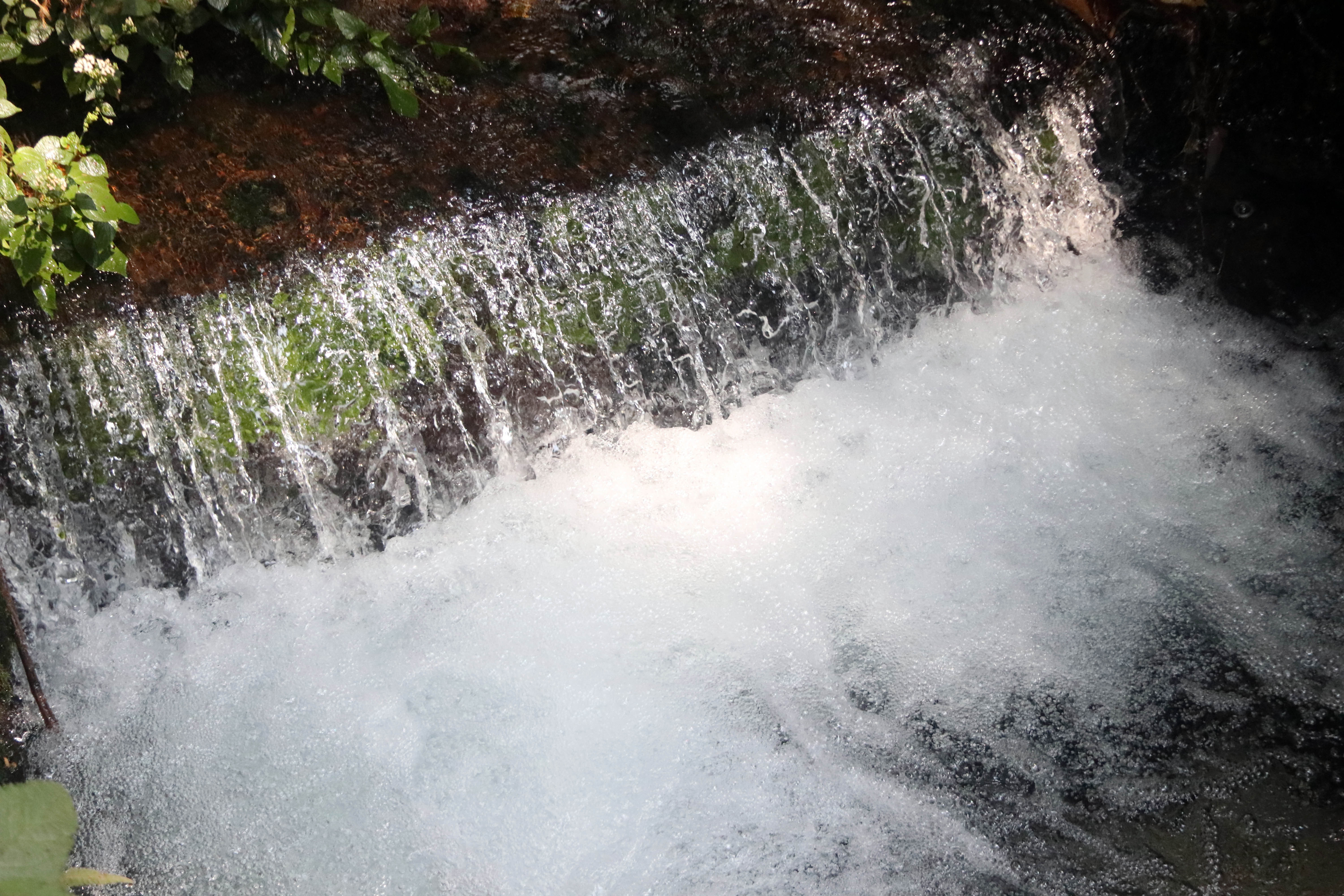 80% del agua en México es consumido por la industria y el sector agrícola