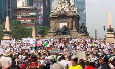 Amlo, Marcha, Antiamlo, México, Movilización, Reforma, Protesta,