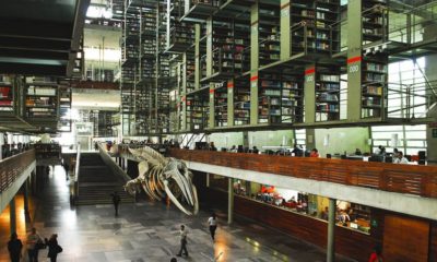 Abraham Nuncio renuncia a dirigir la Biblioteca Vasconcelos