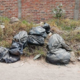 Hallan en bolsas restos de 12 personas en Jalisco