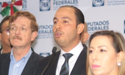 Marko Cortés Morena 2021 Diputados