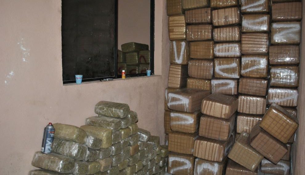 Decomisan 4 toneladas de marihuana en la Morelos