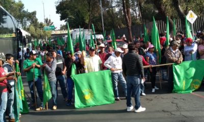 Desfile, Campesinos, Marcha, Manifestación, Revolución Mexicana, Zócalo, Diputados, San Lázaro,