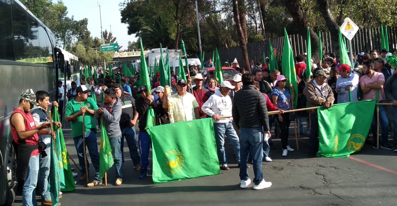 Desfile, Campesinos, Marcha, Manifestación, Revolución Mexicana, Zócalo, Diputados, San Lázaro,