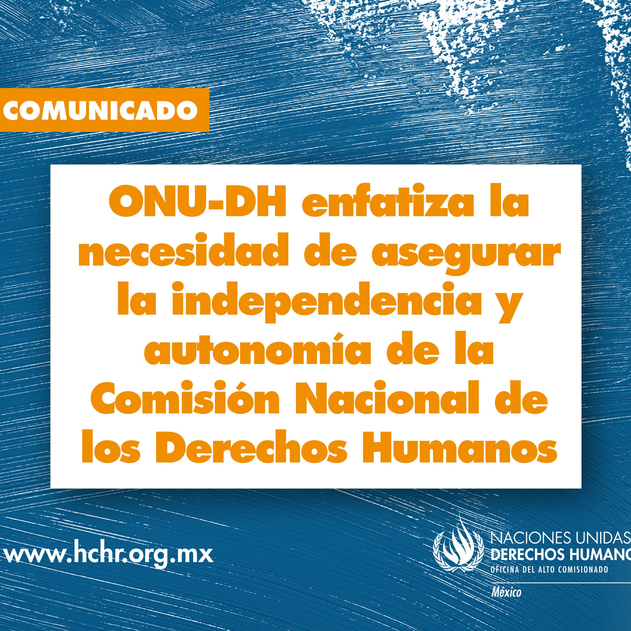 Insta la ONU a asegurar la independencia de la CNDH