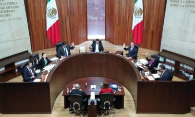 TEPJF desecha recurso de senadores del PAN contra elección de Rosario Piedra