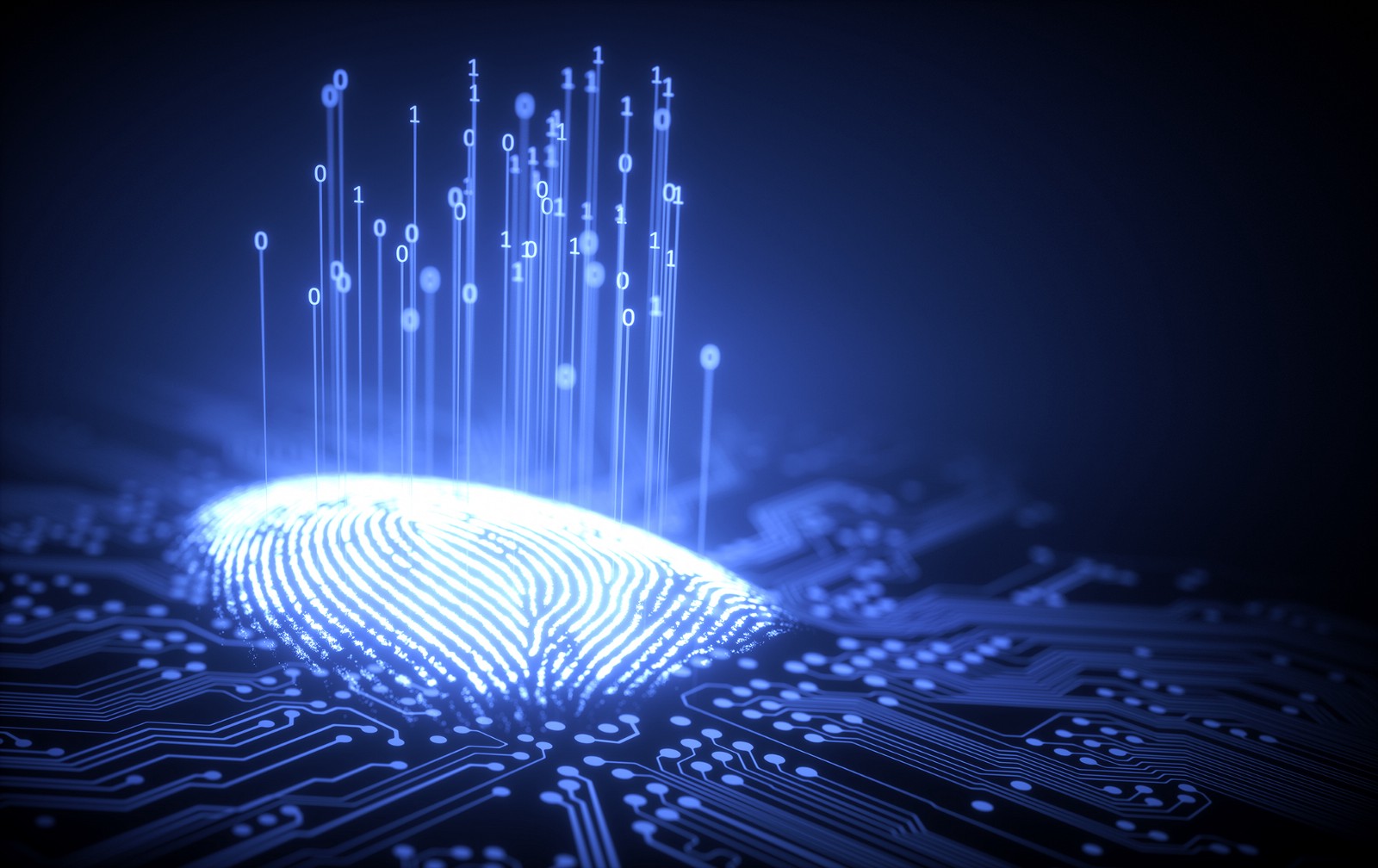 INAI emite recomendaciones para proteger tu identidad digital