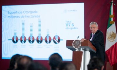 Andrés Manuel, López Obrador, Felipe Calderón, Vicente Fox, Enrique Peña Nieto, Concesiones, Salinas de Gortari,