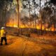 Tenistas organizan evento para recaudar fondos ante los incendios en Australia