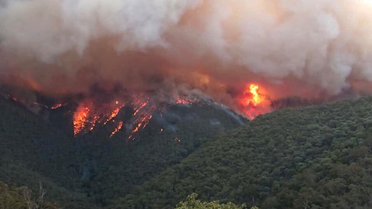 Suman 27 personas fallecidas por los incendios en Australia
