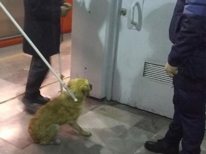 Rescatan a perrito en vías del Metro Nezahualcóyotl