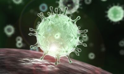 Analizan 2 casos sospechosos de coronavirus en México