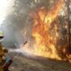 Autoridades controlan totalmente incendios en Australia