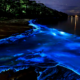 Confinamiento provoca mayor bioluminiscencia en costas mexicanas: UNAM