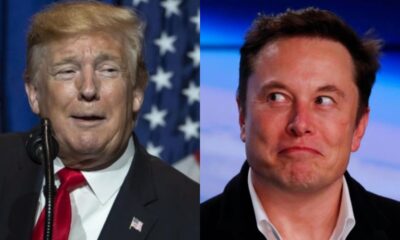 Apoya Trump a Elon Musk por reapertura de Tesla
