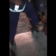 Policía de Guanajuato emula brutalidad de efectivo de Minneapolis