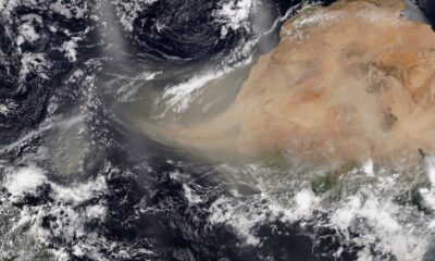 Expertos detallan beneficios y riesgos ante llegada de polvo del Sahara a México