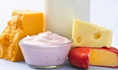 Secretaría de Economía prohíbe venta de “queso” y “yogurt”