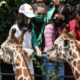 Visita Sheinbaum Zoológico de Chapultepec; recibe críticas