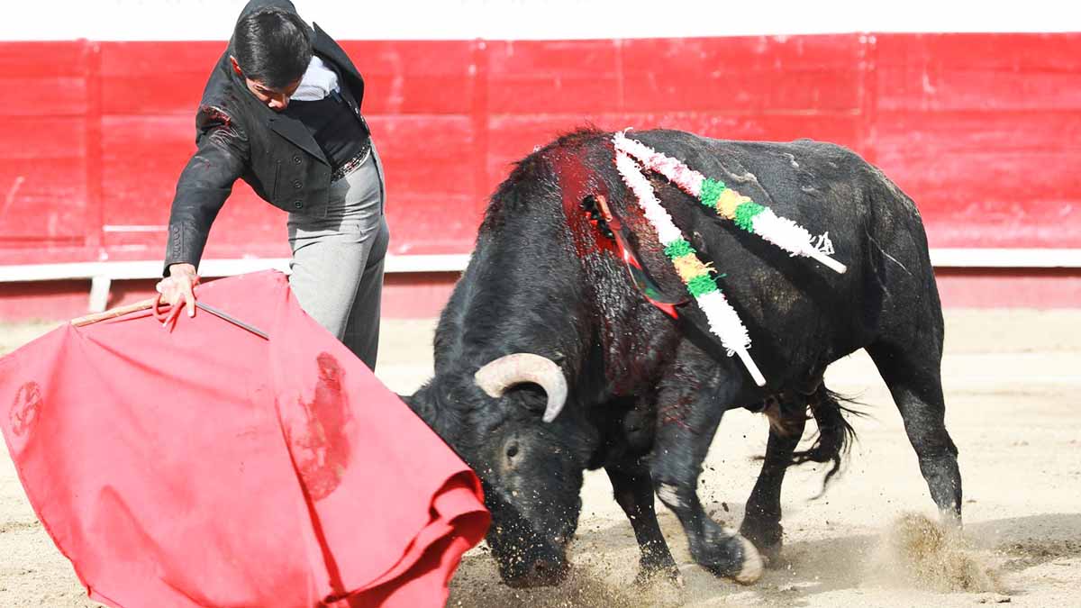 Echan para atrás dictamen para prohibir corridas de toros en CDMX