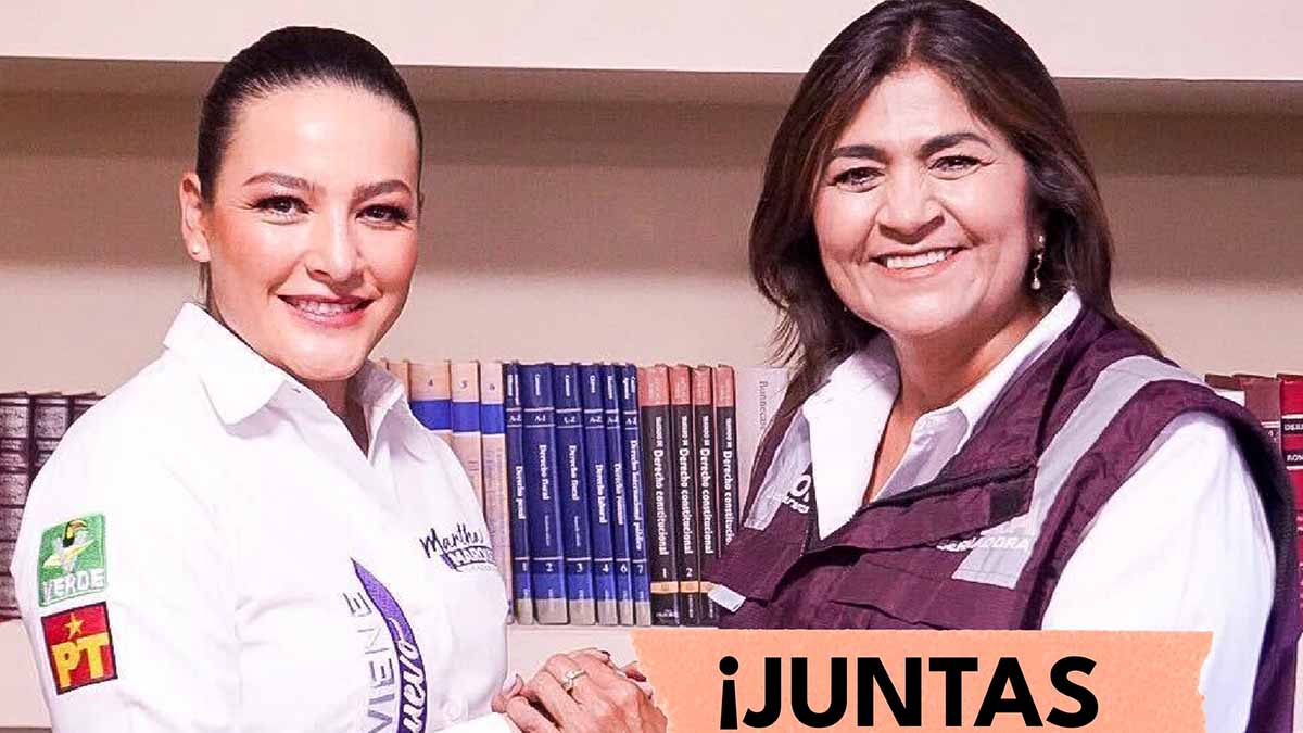 Candidata del PT y PVEM en Aguascalientes declina a favor de Morena