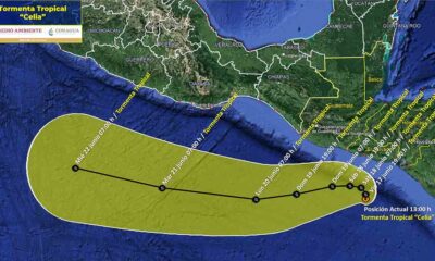 Se forma tormenta tropical ‘Celia’ en el océano pacífico, informa Conagua