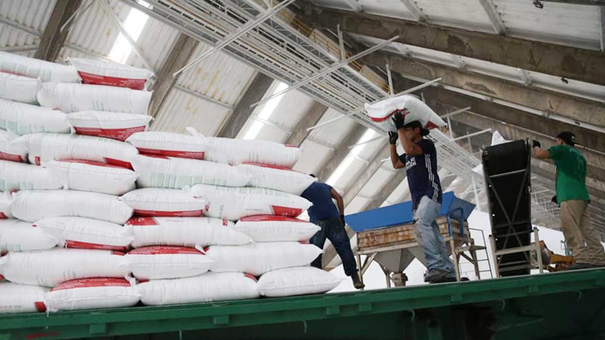 Pemex avanza en el reparto de fertilizantes a Sinaloa y Edomex