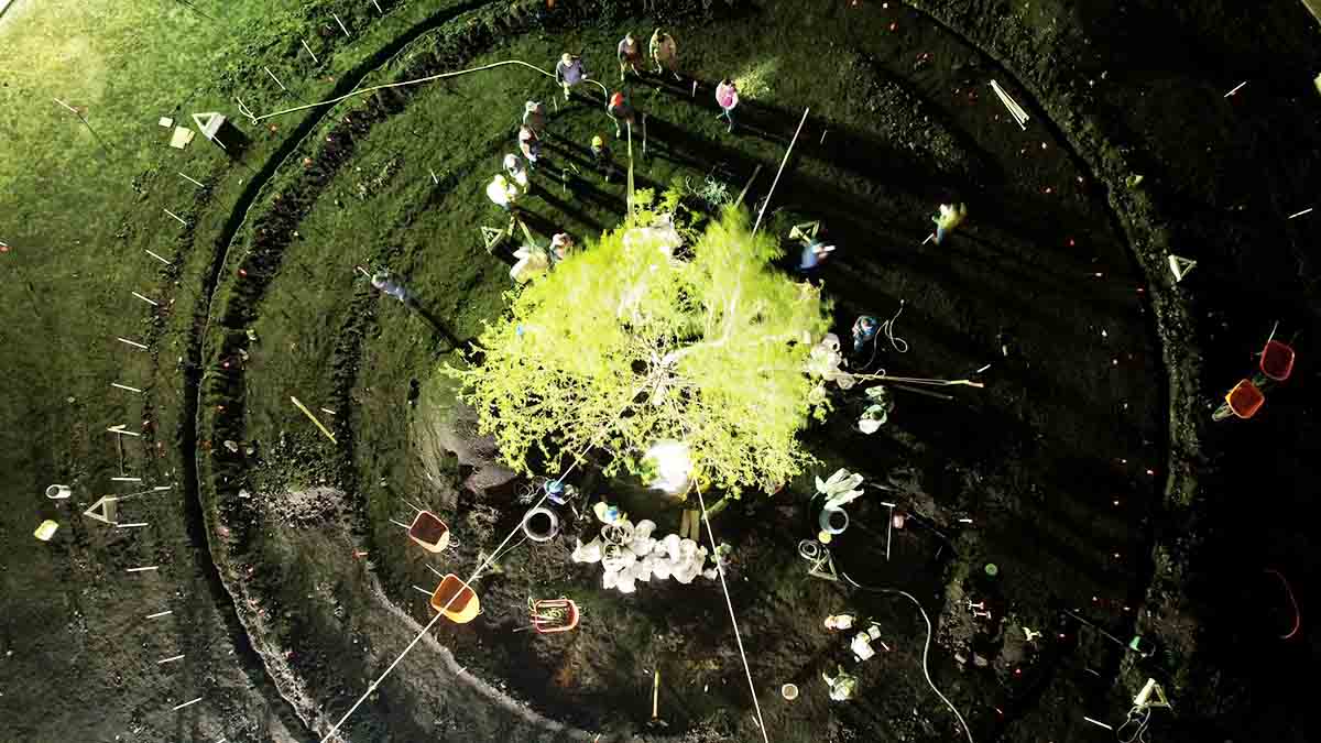 Planta nuevo ahuehuete en glorieta de Reforma