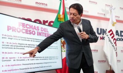 Morena realizará sorteo para definir a encuestadoras este jueves, revela Mario Delgado