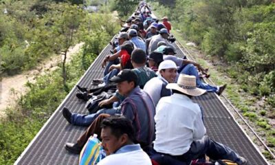 Grupo México suspende operaciones de cargas de 60 trenes por incremento de migrantes