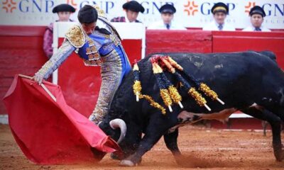 Corte autoriza el regreso de las corridas de toros en la Plaza México
