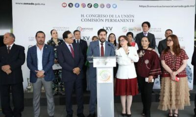 Legisladores de la 4T piden renuncia de Norma Piña tras reunión de TEPJF y ‘Alito’ Moreno