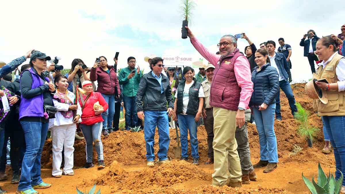 Edomex pone en marcha Plan de Restauración Forestal