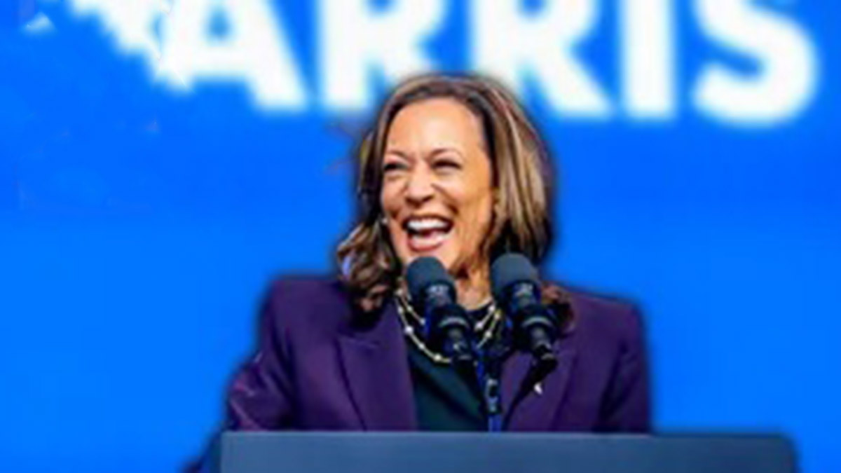 Kamala Harris es oficialmente seleccionada como candidata presidencial por el partido demócrata