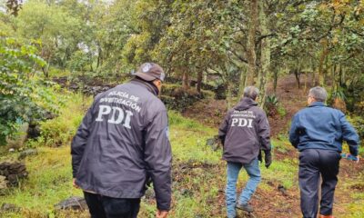 Por fin orden en Tlalpan: Operativo Coordinado Recupera 3 ha de Suelo de Conservación en el Ajusco