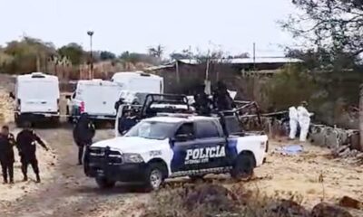 Enfrentamiento en Guanajuato deja 8 presuntos delincuentes muertos y tres policías heridos