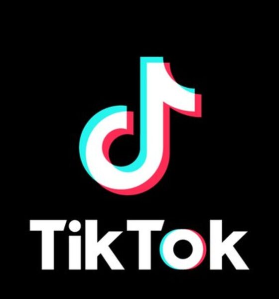 Cuáles son los escenarios para Tik Tok en EU