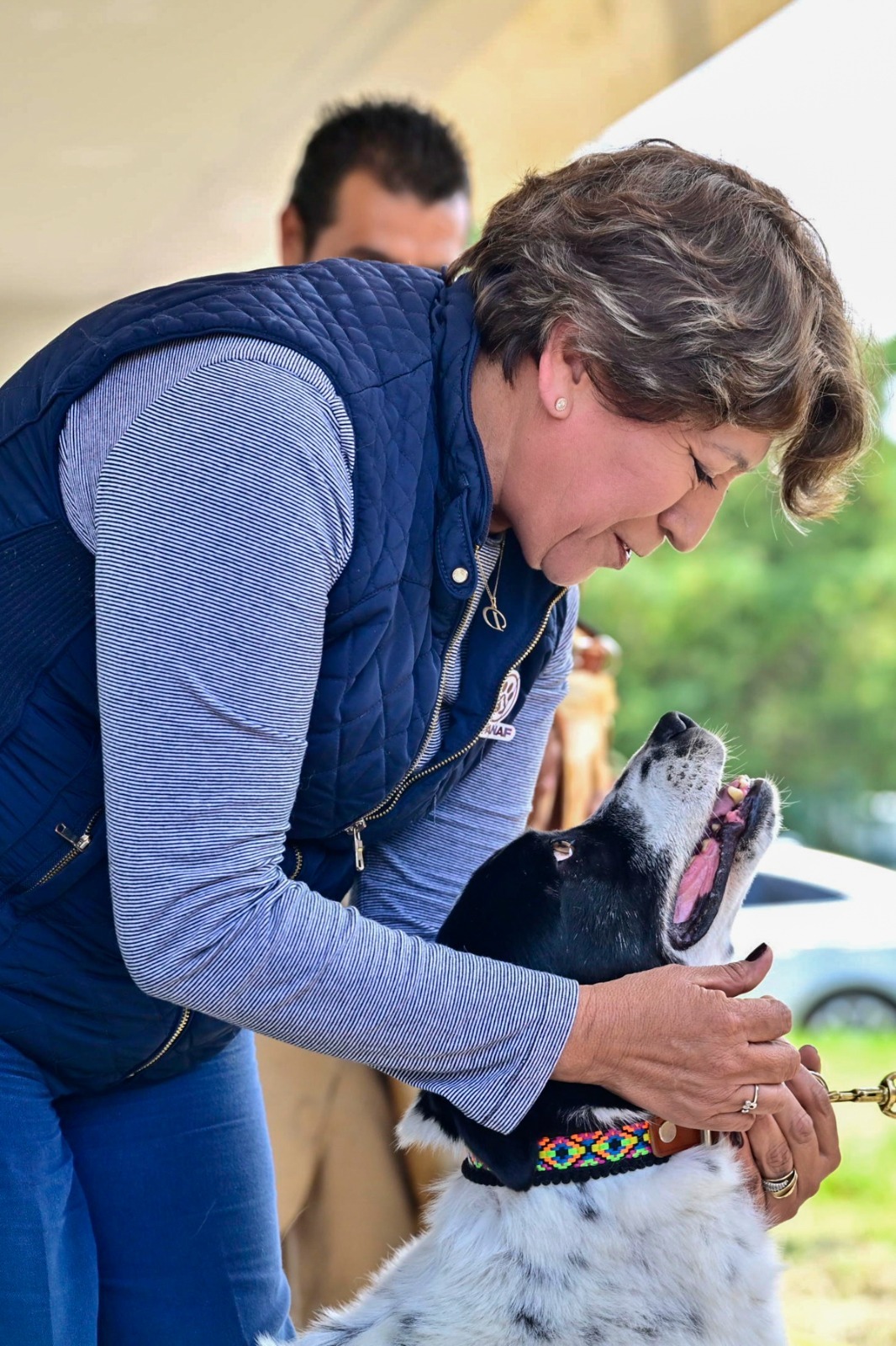 Gobierno del Edoméx invita a adoptar a un perrito en la final del futbol