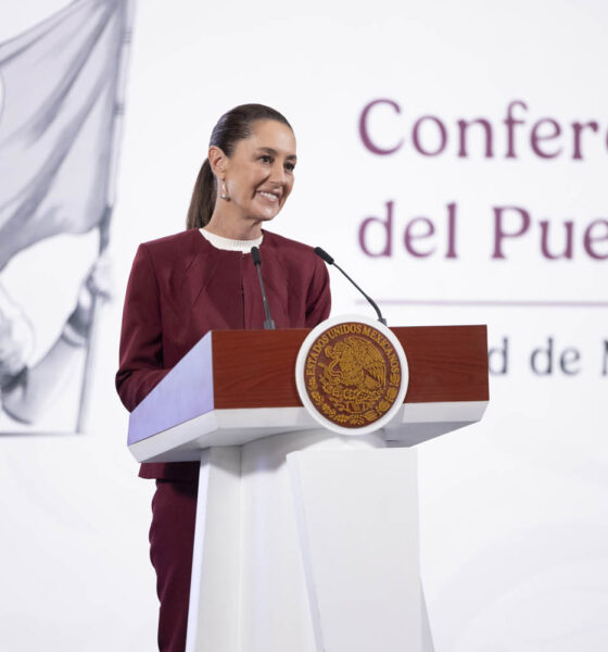 Gobierno no fue notificado de retiro de visa de Marina del Pilar