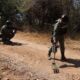 Lamenta Sheinbaum explosión de narcomina en Michoacán que provocó muerte de 8 militares