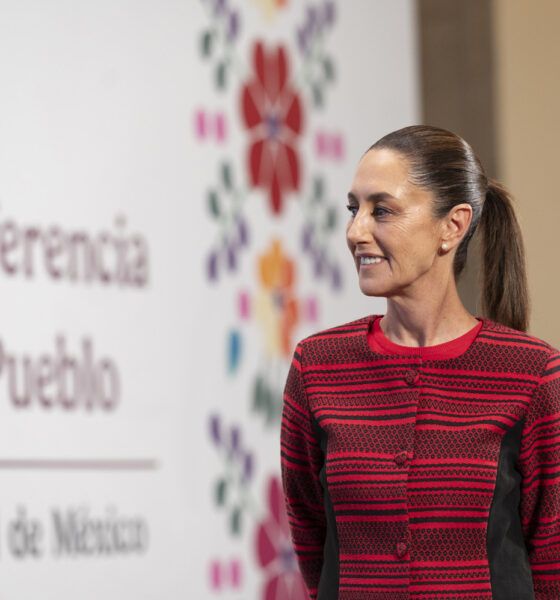 Caso Wallace tiene muchos cuestionamientos, dice Sheinbaum