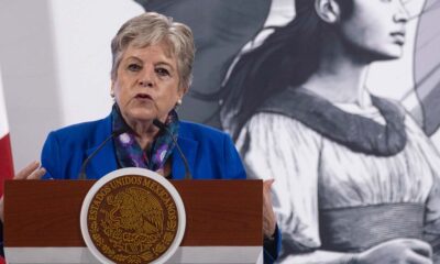Federación busca recolectar sargazo vivo para generar biogás; planta estará este 2025