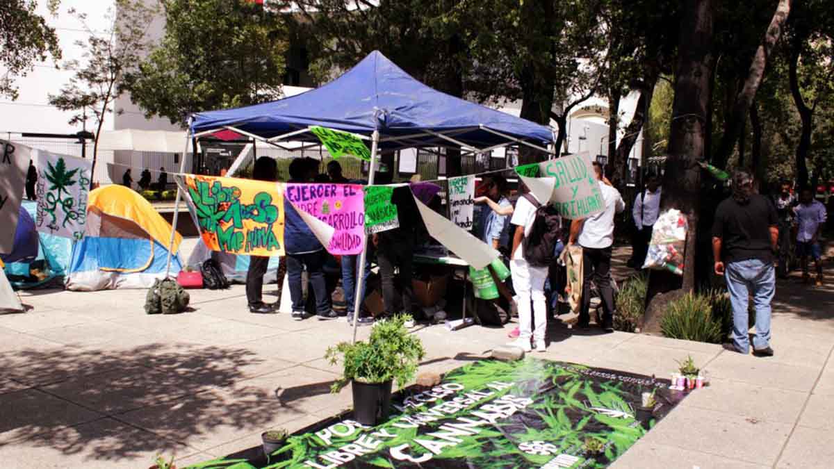 Legalización de mariguana puede llevar al consumo de otras drogas: Sheinbaum