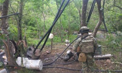 Decomisan 21 toneladas de metanfetaminas en Durango a Los Mayos