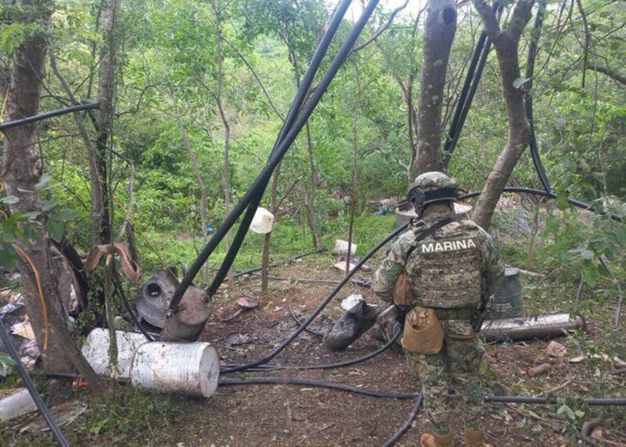 Decomisan 21 toneladas de metanfetaminas en Durango a Los Mayos