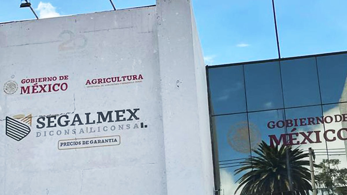 Van 27 exfuncionarios detenidos por caso Segalmex, revela Buenrostro